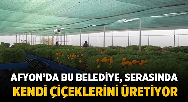 Afyonkarahisar'da bu Belediye serasında kendi çiçeklerini üretiyor