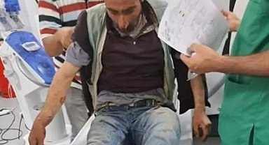 Bingöl'de ayı saldırısına uğrayan vatandaşı köpekler kurtardı