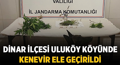 Dinar ilçesi Uluköy köyünde kenevir ele geçirildi