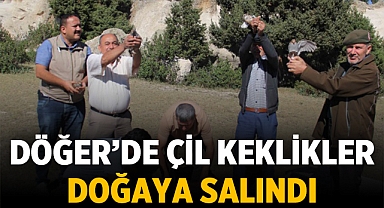 Döğer Belediyesi çil keklikleri doğaya saldı