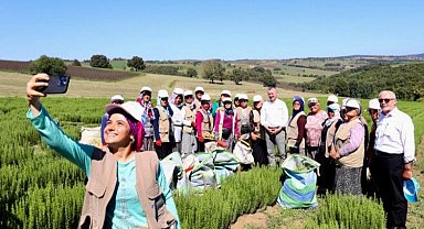 Kocaeli'nde tıbbı aromatik merkez