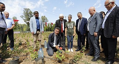 Muğla'da 'tıbbi bitkiler' bahçesi hizmete açıldı
