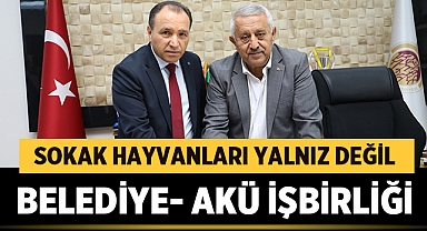 Afyonkarahisar'da sokak hayvanları yalnız değil