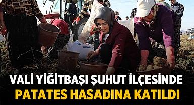 Afyonkarahisar Valisi Patates Hasadına Katıldı