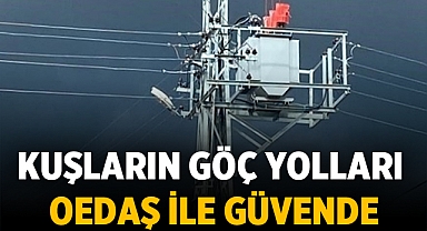 Kuşların göç yolları OEDAŞ ile güvende