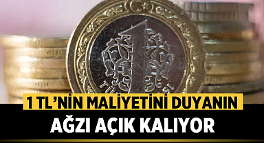 1 TL'nin maliyetini duyanın ağzı açık kalıyor!