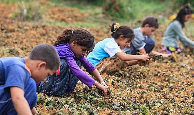 Hayata Destek Derneği: Çocuklar yoksulluk döngüsünden çıksın