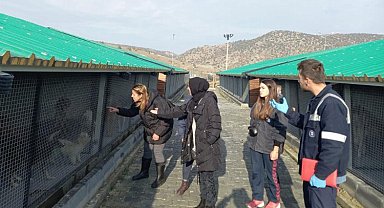 Kütahya'da Sokak Hayvanları Bakımevi'ne ziyaret