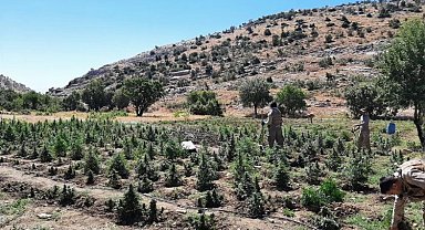 Terörün finansmanı uyuşturucu ile mücadele sürüyor