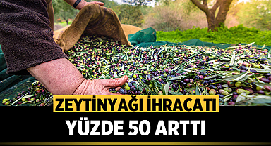 Zeytinyağı ihracatı yüzde 50 arttı