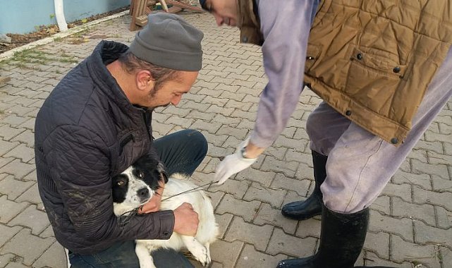 Bilecik Pazaryeri'nde ev hayvanlarına mikroçip takılıyor
