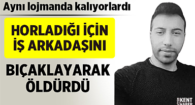 Horladığı arkadaşını bıçaklayarak öldürdü