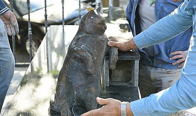 Kadıköy’ün Kedisi Tombili Yuvasına Döndü