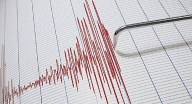Muğla Milas 3,1 büyüklüğünde sallandı