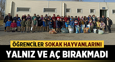 Afyonkarahisar'da öğrenciler sokak hayvanlarını yalnız ve aç bırakmadı