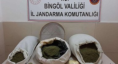 Bingöl'de 24 kilogram toz esrar ele geçirildi