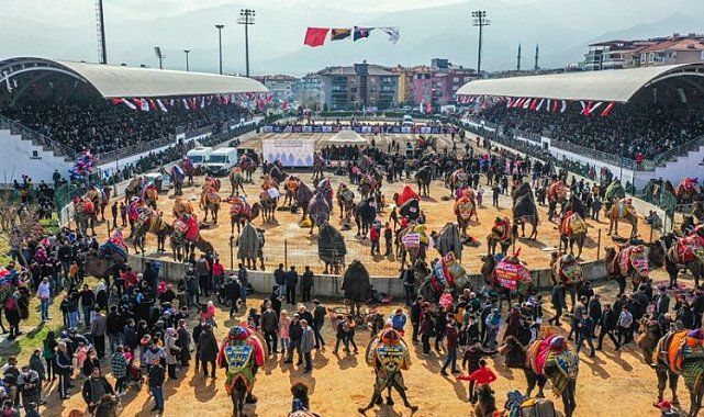 Denizli'de deve güreşi şöleni
