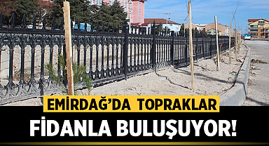 Emirdağ'da topraklar fidanlar buluşuyor