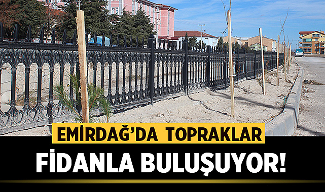 Emirdağ'da topraklar fidanlar buluşuyor