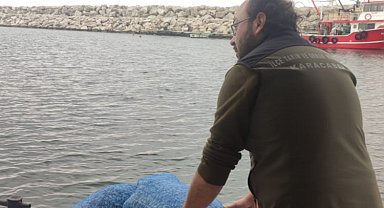 Karacabey sahilinde 40 çuval kaçak midye yakalandı! Denize geri bırakıldı