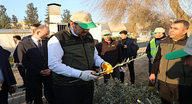 Şanlıurfa Valisi Salih Ayhan, Birecik Orman ve Fidanlık Müdürlüğü'nü İnceledi