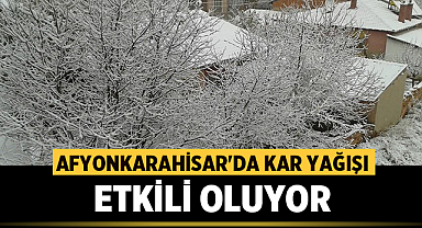 Afyonkarahisar'da kar yağışı cadde ve sokakları beyaza bürüdü