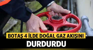 BOTAŞ açıkladı: 4 ilde doğal gaz akışını durdurduk