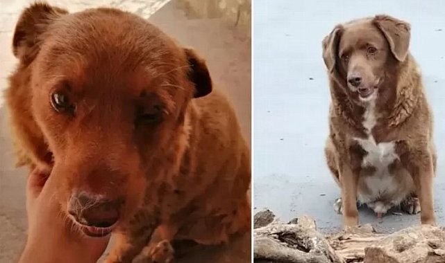 Gelmiş geçmiş dünyanın en yaşlısı!