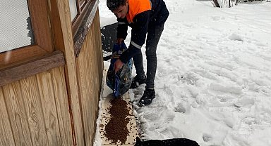 Mardin Büyükşehir'den can dostlara mama desteği
