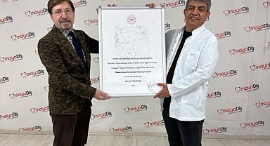 'Maya'sında başarı var