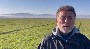 Narenciye üreticisi acil yardım bekliyor