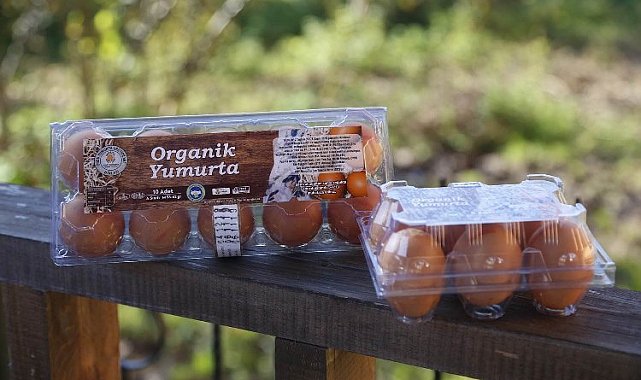 Ordu, yumurtada Araplar'a çalışıyor