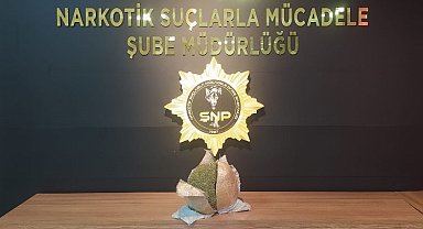 Şanlıurfa'da narkotik ekipleri şüpheli yolcuyu gözaltına aldı