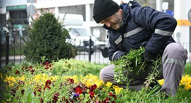 Çayırova'da bahar hazırlığı