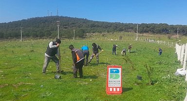 Çöplerin yerini zakkum çiçekleri alıyor