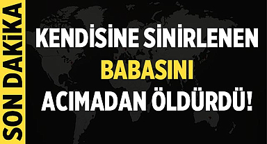 Kendisine sinirlenen babasını acımadan öldürdü!