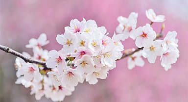 Siyasilerden Nevruz mesajı