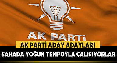 AK Parti Afyonkarahisar'da seçim hazırlıklarını sürdürüyor