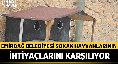 Emirdağ Belediyesi Sokak Hayvanlarının İhtiyaçlarını Karşılıyor