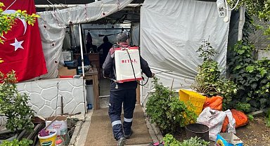 Hatay'da kapsamlı ilaçlama