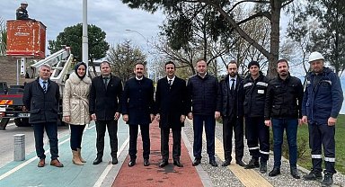 Sokak lambaları, kuşların yeni yuvası oldu