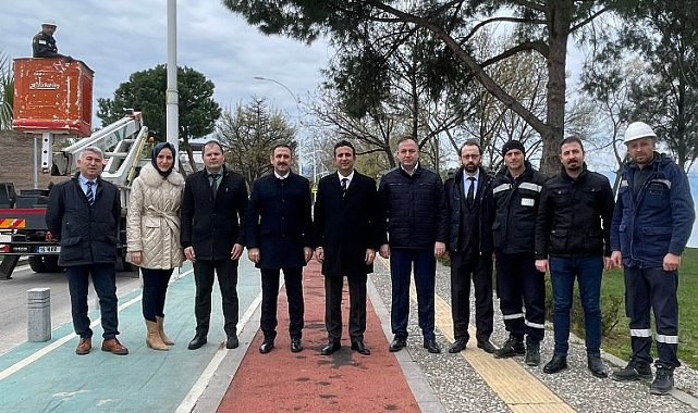 Sokak lambaları, kuşların yeni yuvası oldu