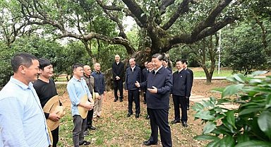 Çin Cumhurbaşkanı Xi Jinping, Guangdong Eyaleti'nde İncelemelerde Bulundu