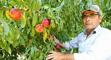 Yenişehir Ovası'nı don ve kırağı vurdu