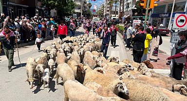 Kumluca'da Geleneksel 24. Tarım ve Seracılık Festivali: Renkli Yörük Göçü Etkinliği