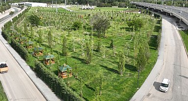 Atatürk Orman Çiftliği'ne yeni yeşil alan