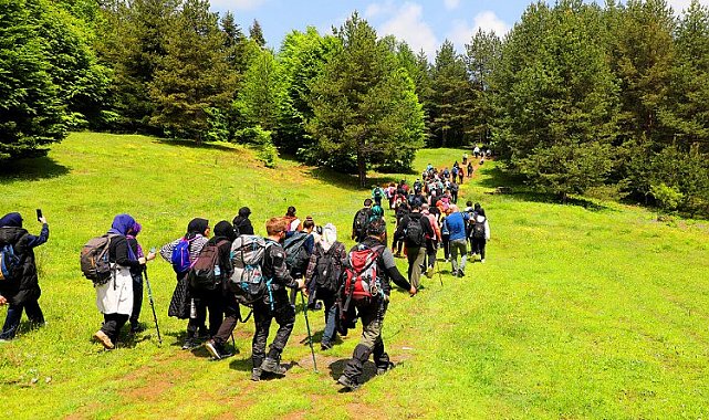 Doğa tutkunlarının rotası Pamukova oldu
