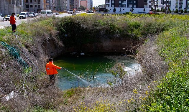 Hatay'da haşere ile mücadele sürüyor