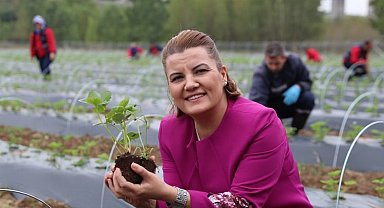 İzmit Çilek Köy'ün hasat ürünleri raflarda