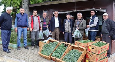 İzmit'te fideler kırsala dağıtılıyor